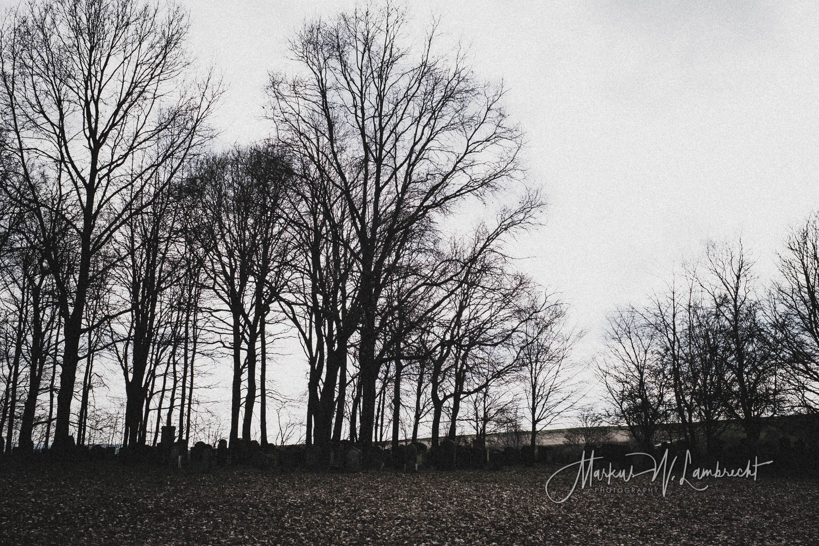Ebersburg, Jüdischer Friedhof